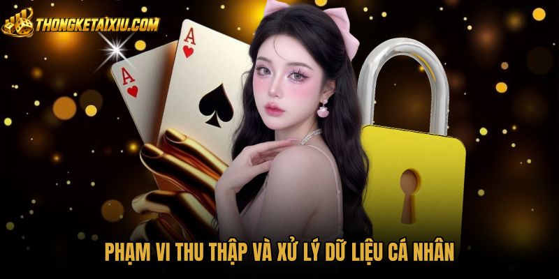 pham-vi-thu-thap-va-xu-ly-du-lieu-ca-nhan pham-vi-thu-thap-va-xu-ly-du-lieu-ca-nhan