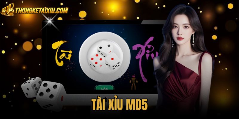 Tài Xỉu MD5 - Nguyên Lý Mã Băm Và 3 Bước Đối Soát Chuẩn